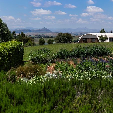 Lavender Hill Country Estate&Wedding Venue Guest House Bethlehem Eksteriør bilde