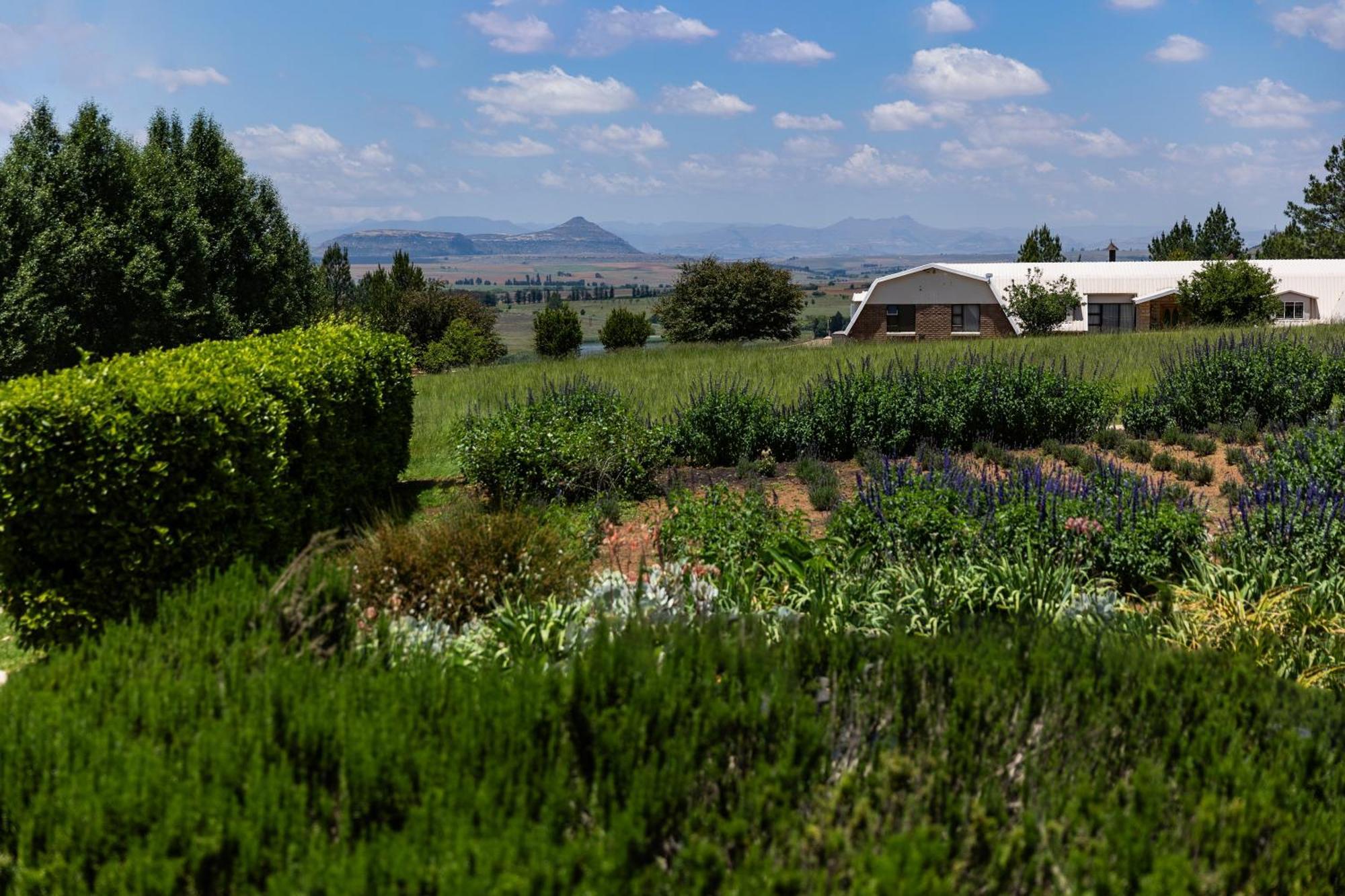 Lavender Hill Country Estate&Wedding Venue Guest House Bethlehem Eksteriør bilde